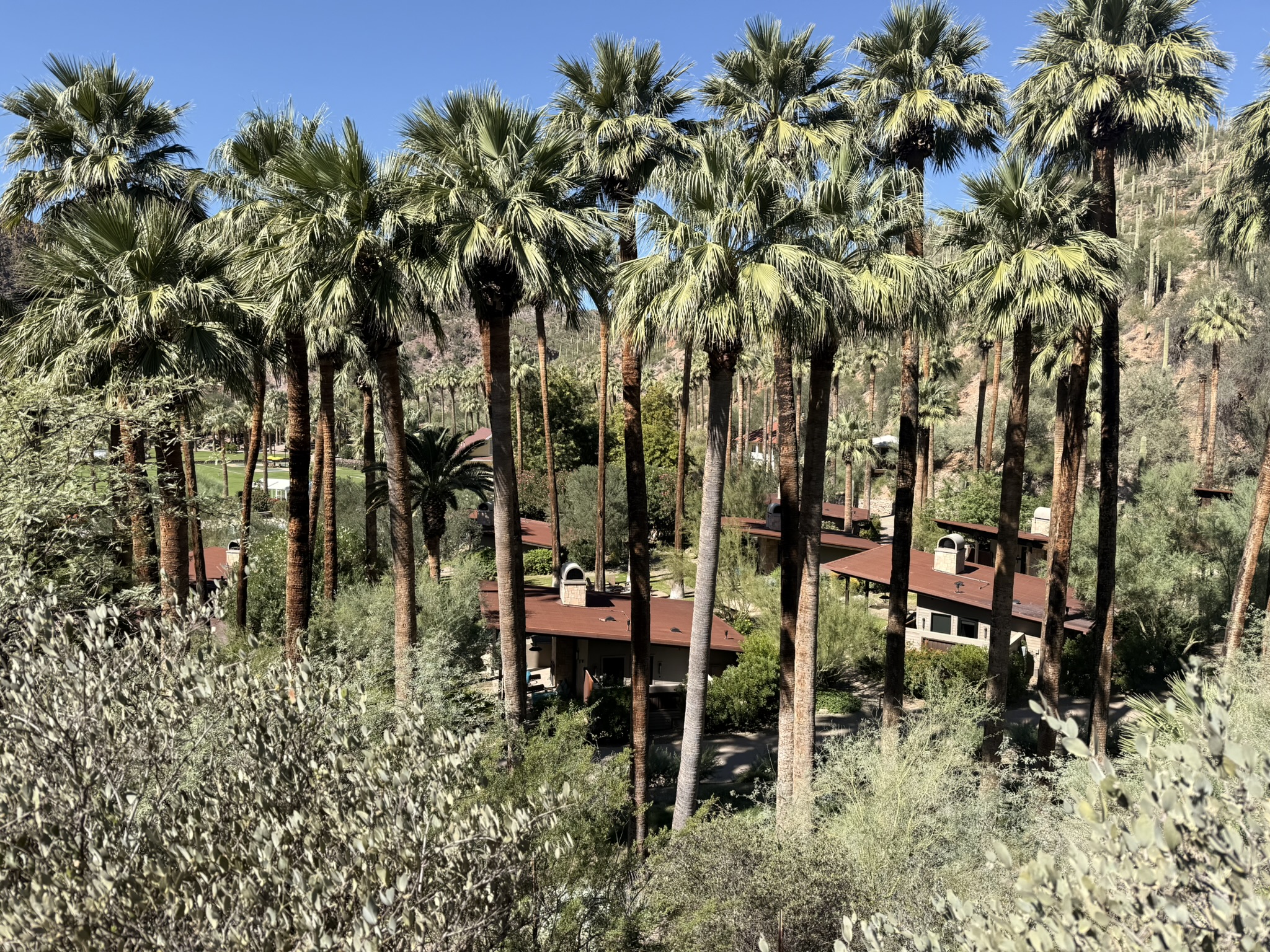 Castle Hot Springs Review: Surprisingly Great — Except the Hot Springs